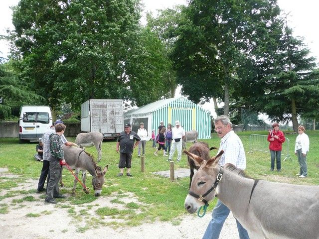 Le Parc 19 juillet 2012 (6).jpg